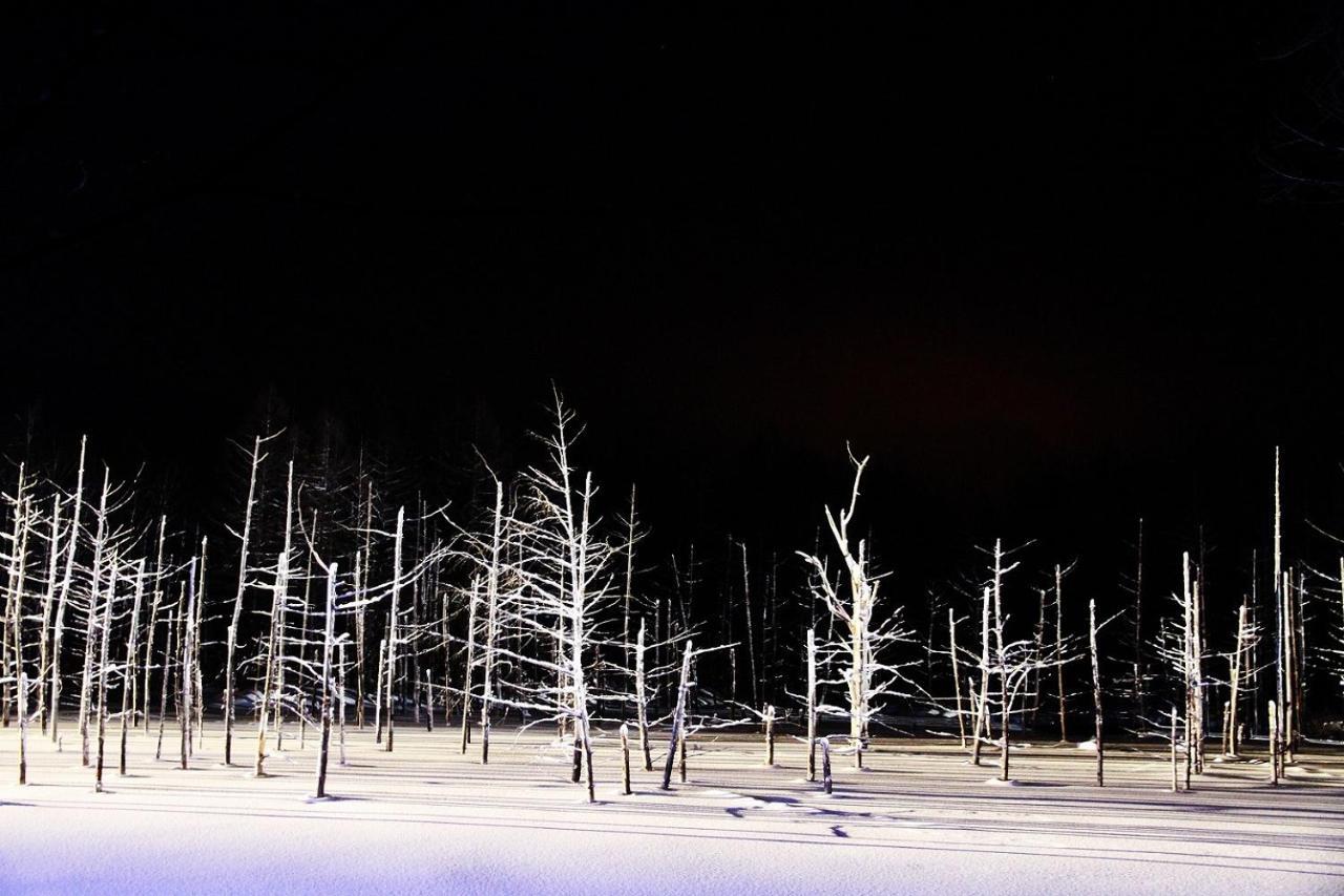 Stay In 末広 Asahikawa Nagayamacho Dış mekan fotoğraf